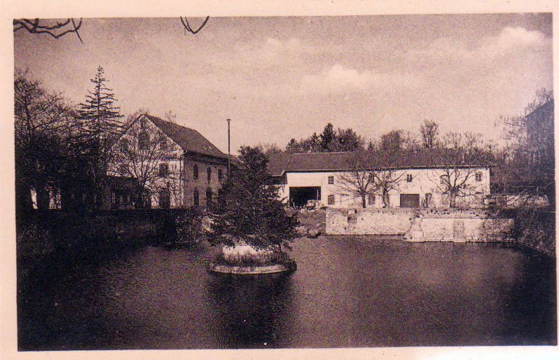 Original image